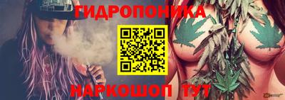 a pvp Обнинск